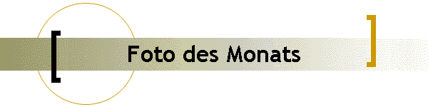 Foto des Monats