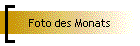 Foto des Monats