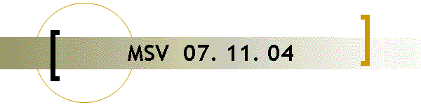 MSV  07. 11. 04